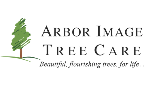 Arbor Image
