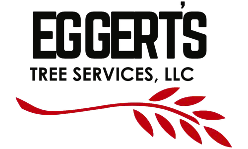 Eggerts
