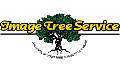 Image Tree Service