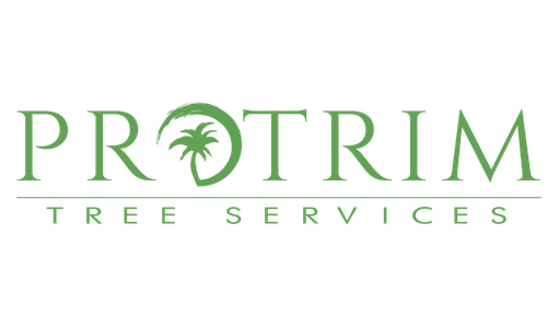Pro Trim Tree Services
