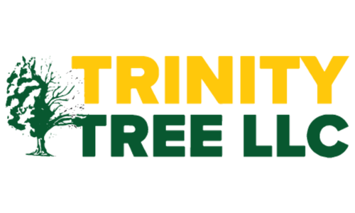 Trinity Tree LLC